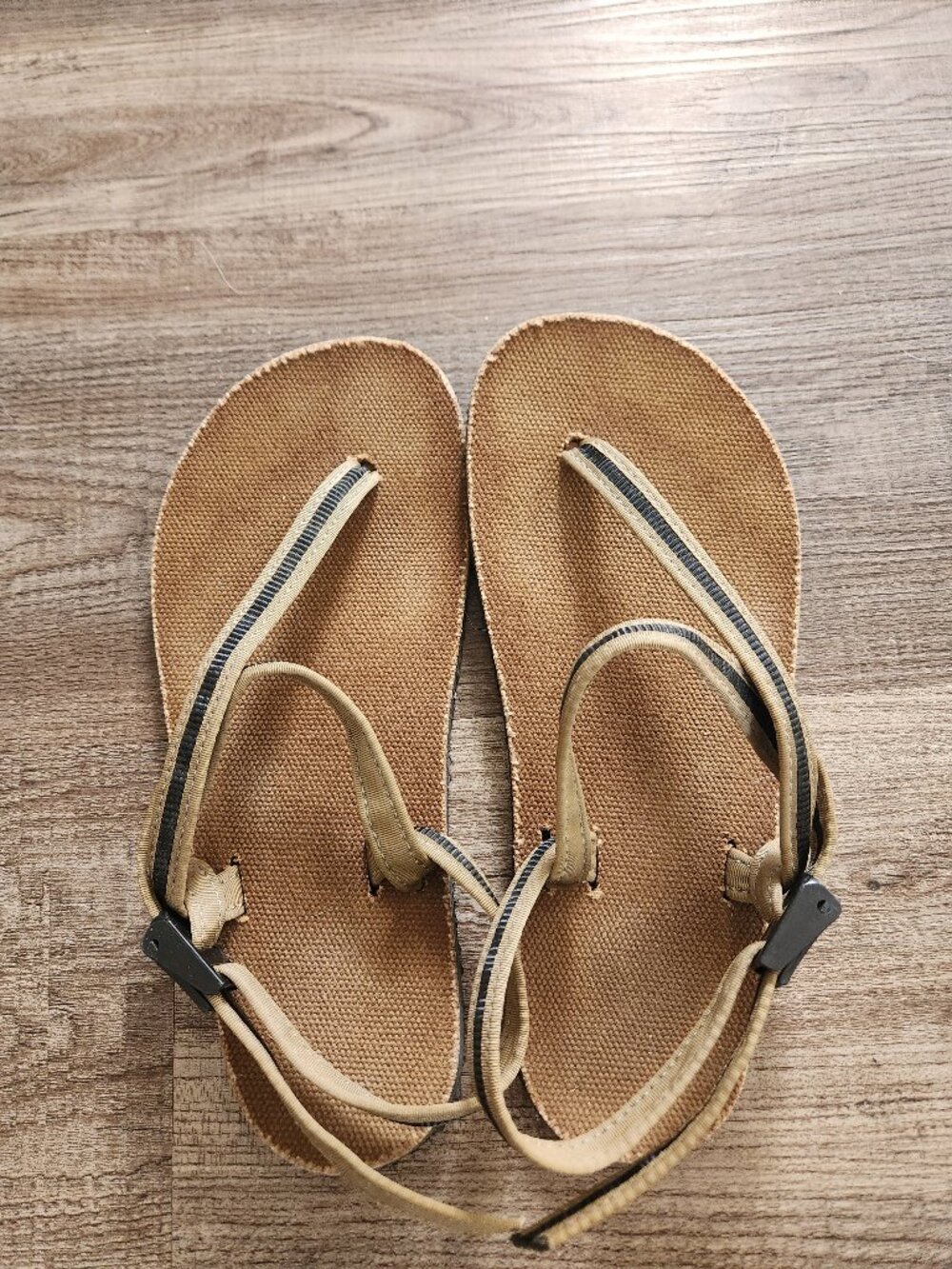 Earth Runners Circadian